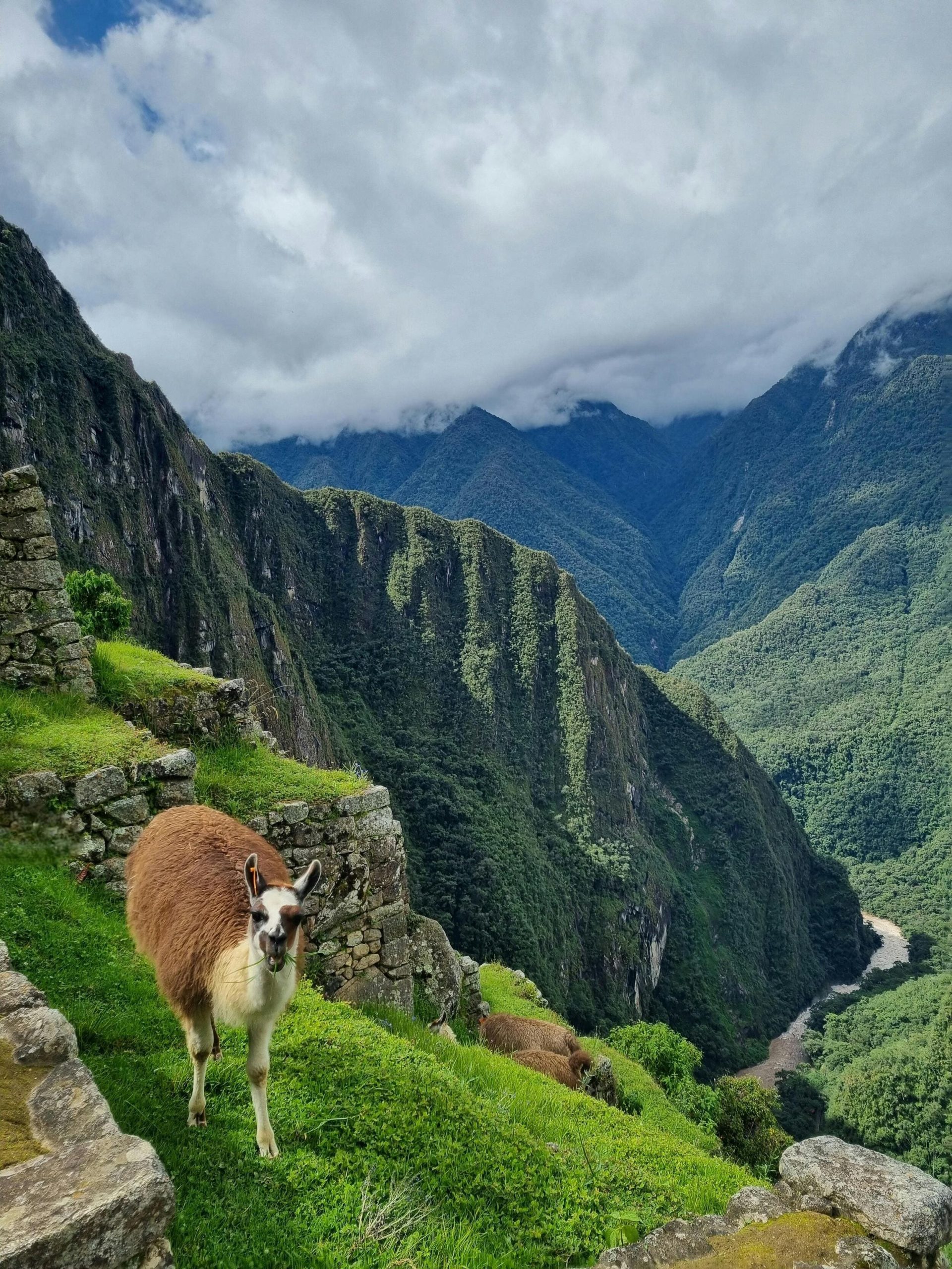 machu picchu 1